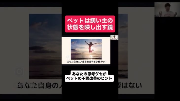 飼い主はペットの鏡【犬猫の不調と飼い主さんのリンク】