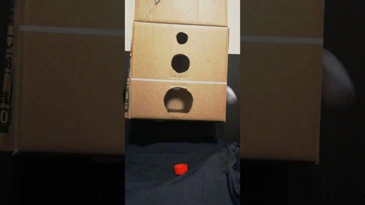 ペットボトルキャップチャレンジ