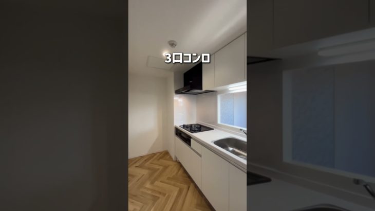 すすきのへのアクセスも🙆ペットと住める新築【札幌賃貸】