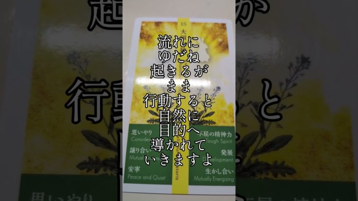 魂の出会い有りそう　#自分改革 #ペットの気持ち #霊視#透視#癒やし#神社参拝 #遠隔参拝