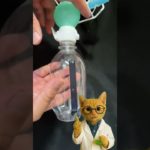 ペットボトル内に雲発生