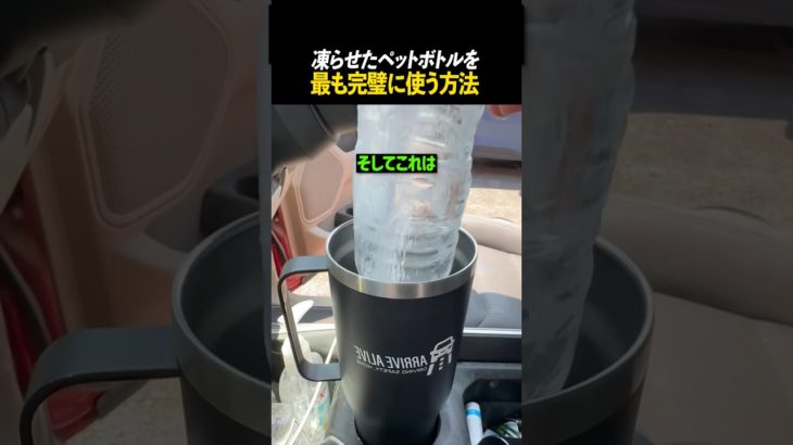 凍らせたペットボトルを最も完璧に使う方法
