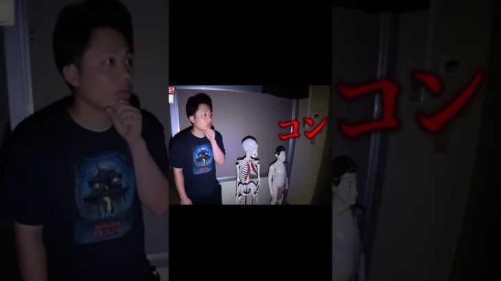 人体模型が危険すぎて撮影中止…  #フィッシャーズ #フィッシャーズ切り抜き #心霊 #人体模型