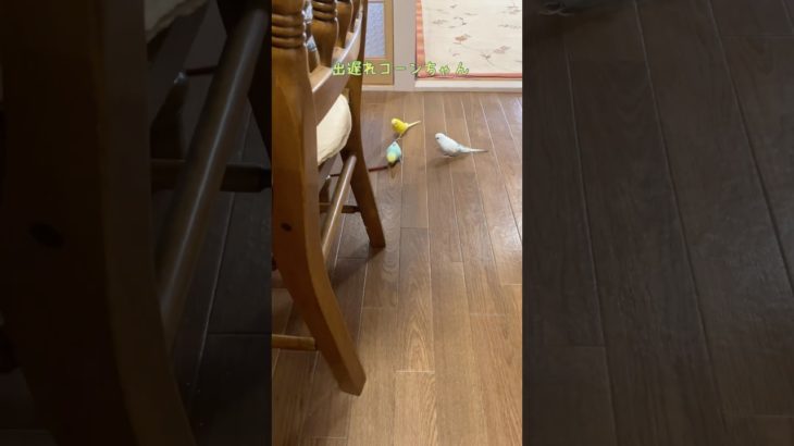 箸が転んでもおかしい年頃