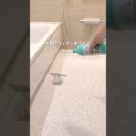 【初体験】掃除にペットボトル使ってみた　#排水口掃除  #キッチン掃除  #お風呂掃除