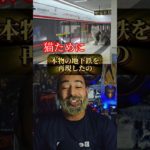 ペットの町がレベチ過ぎるってwww柴犬と猫のために本気だしすぎた男#ペット #柴犬 #猫 #作ってみた #動物