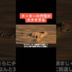 最後です。1年間ありがとうございました。#動物 #ペット #UMA #ダチョウ