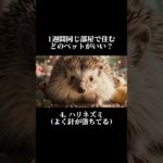 1週間一緒に住むならどのペットがいい？　 #ai #animals  #癒し