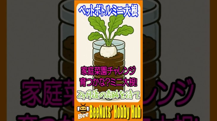 【家庭菜園】ペットボトルでミニ大根に挑戦！1.5L容器で育てる家庭菜園 #ミニ大根 #ペットボトル栽培 #ベランダ菜園 #野菜づくり #初心者向け #DIY園芸 #自給自足 #野菜栽培