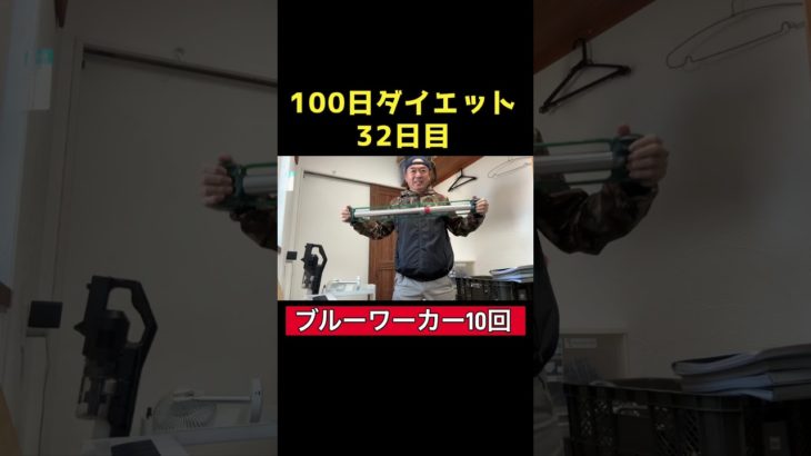 【100日ダイエット2】32日目 ブルーワーカー