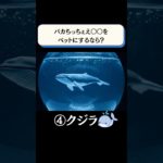 バカちっちぇえ〇〇をペットにするなら？　#究極の2択