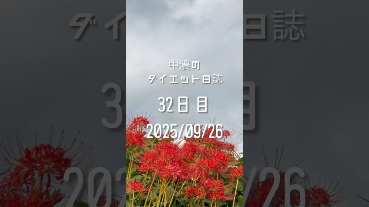 中濃のダイエット日誌32日2025/09/26【27秒】