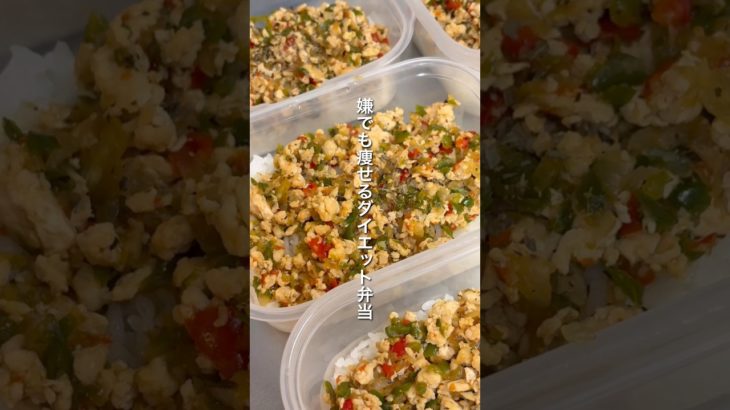 【ダイエット弁当】痩せない人はコレ食べて！平日5日間の鶏むねガパオライス弁当｜約200円｜ダイエット中のリアルなヘルシーレシピ｜Diet Gapao Rice Bento #冷凍弁当