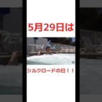 5月29日にシルクロードが大暴れ！？#フィッシャーズ #フィッシャーズ切り抜き #シルクロード