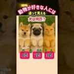 99％の動物好きの天才だけが分かる👀犬は何匹見える？🐾