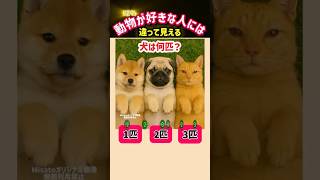 99％の動物好きの天才だけが分かる👀犬は何匹見える？🐾