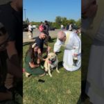A Catholic Deacon Blesses a pet on the Feast of St Francis of Assisi #pets #stfrancisassisi