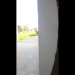 AIペット”犬・猫”の気持ちがわかる