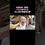 AIおばあちゃん 大玉たま ペットのワニと久しぶりのおさんぽ #shorts #ai動画 #ai動画 #ai生成 #aiおばあちゃん