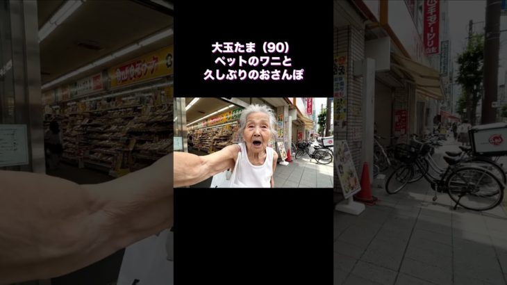 AIおばあちゃん 大玉たま ペットのワニと久しぶりのおさんぽ #shorts #ai動画 #ai動画 #ai生成 #aiおばあちゃん