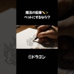 【ASMR】ペットにするなら何を描く？✏️ What pet would you draw?
