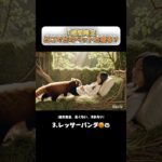 【ASMR】あなたはどこでどのペットと寝たいですか？ #ai #asmr #aiasmr #癒し