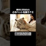 【ASMR×AI】絶対ありえないペット②🐅 |あなたはどのペットを飼いたい？ #shorts