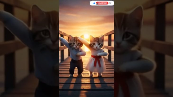 Adorable Cat Dance Moments 😻 | Cute Pet Dance Video | Animal Action Show #cat #catdance #shorts