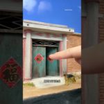 Amazing Pet Miniature #shortsvideo