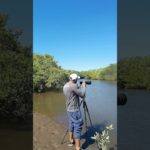 Behind the Lens: Capturing the Wild Beauty of Costa Rica 🌿📸#NaturePhotography #CostaRica