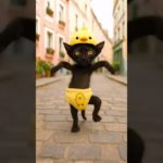 Black Cat Chick Dance #猫ダンス #ペットダンス #黒猫 #Blackcat #catdance