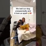 Dogs are family ❤️ #pets #pet #petloss #dogloss #dog #dogs #doglover #griefsupport #petlossgrief