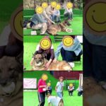 ペットモデル育成スクール｜わんこの教室FUN&SMILE イベントや講座の様子