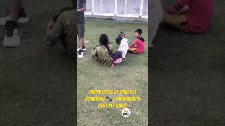 Fun-Filled Dog Activities at Oma Pet Boarding Faridabad | Happy Dogs Enjoying Their Day