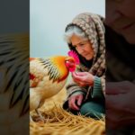 Grandmother and Her Pet Hen – A Heart-Touching 3D Short Story #ai #hen #dadi #murgi #shorts #viral