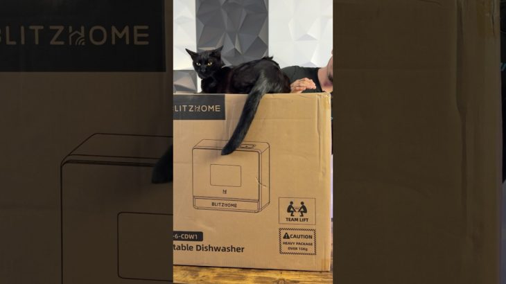 HORDOZHATÓ MOSOGATÓGÉP!? WTF  #hungary #tech #technology #foryou #pet #cat #tiktok #shortvideo