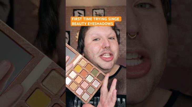 I can’t wait to use the Singe Beauty Paisley Hoot palette again! #makeup #eyeshadow