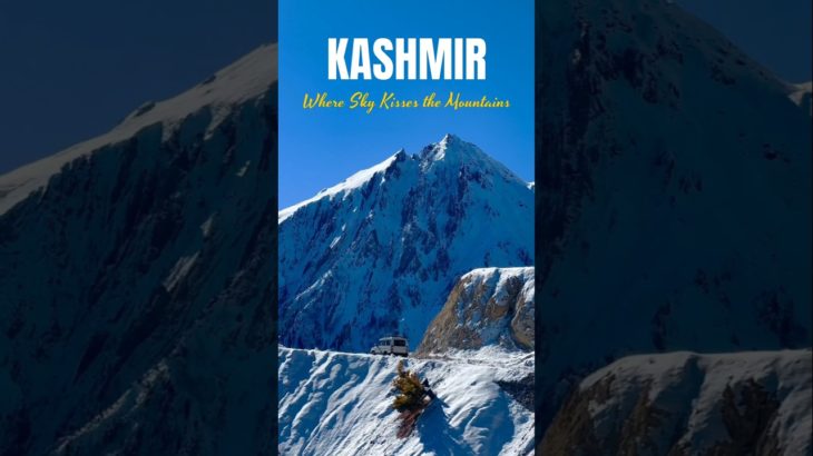 Kashmir – The Beauty of Silence 🏔️💚 | Heaven on Earth Vibes | Nature Love #naturelovers #shortvideo