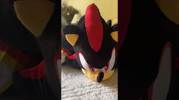 Let’s Unbox the Shadow Pillow Pet!🖤❤️