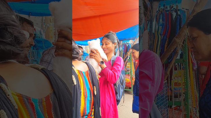 Low price 😳 German spitz puppy for sale Galiff street Pet Market short #video