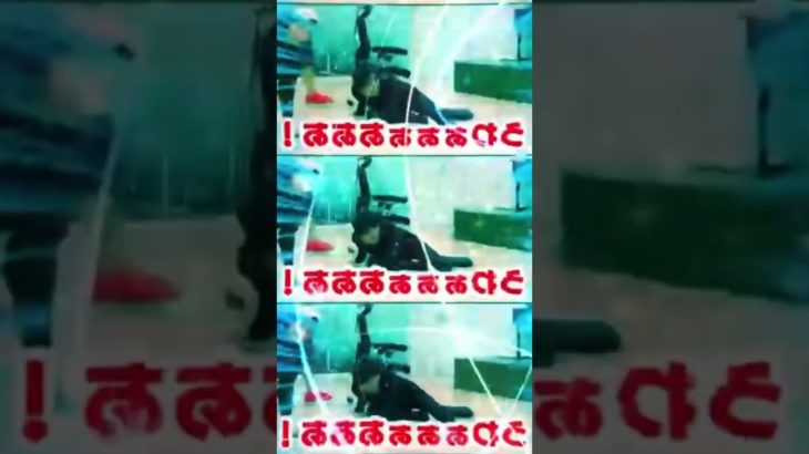 フィッシャーズ音MAD