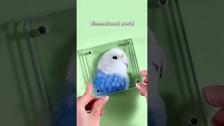 Perfect surprise for any pet lover 🎁ペット好きにぴったりのサプライズ🎁#GiftIdea #PetArt #3DPortrait #animalart #pets