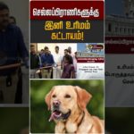 செல்லப்பிராணிகளுக்கு  இனி உரிமம் கட்டாயம்! | Pet Animals