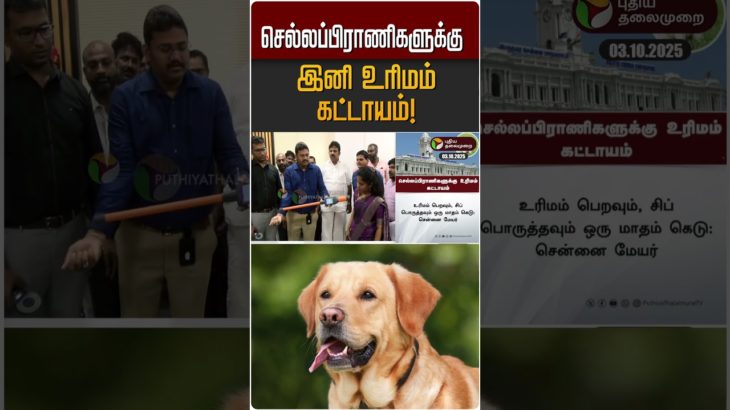 செல்லப்பிராணிகளுக்கு  இனி உரிமம் கட்டாயம்! | Pet Animals