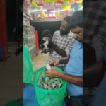 ഞങ്ങളുടെ ആദ്യ Pet Transport ✨ | Miniature Pomeranian Puppy to Thodupuzha 🐶 | Jessy Aquarium