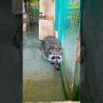 Pet Zone Statue of Unity | Natural Pet Zone | Cute Animals & Nature Vibes| #petzone #statueofunity