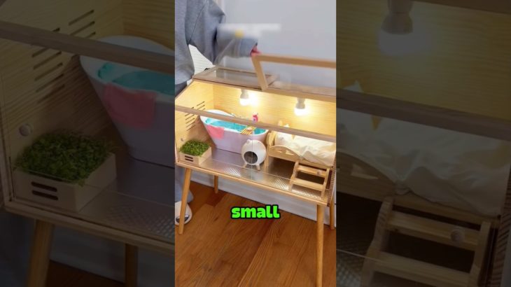 She Built a Tiny Apartment For Her Pet 😳