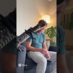 マイアミでは落ち込んでいたらペットのワニ🐊に慰めて貰うのだ🙄　【Sora レッスン1】