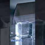 The Art of Transparency4#ペット #ショート #リール#pets #shorts #reels #meow