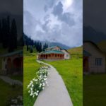 The Beauty Of Kashmir || song ❤️|| #hindisong #love #ytshorts #jannatkashmir #mountains